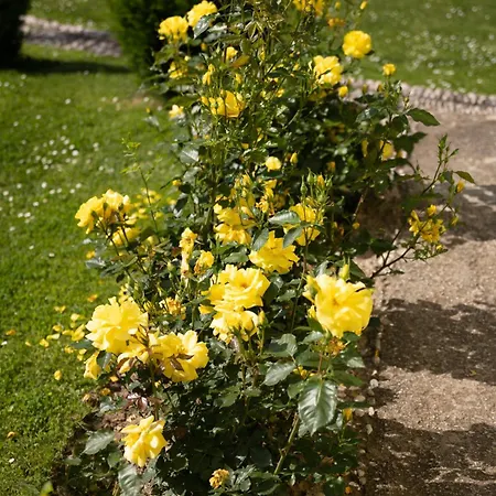 Apartament Hill Sarajewo